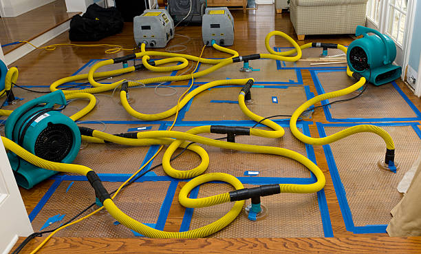 Professional Crawl Space Water Removal technician working in Broadbent, OR